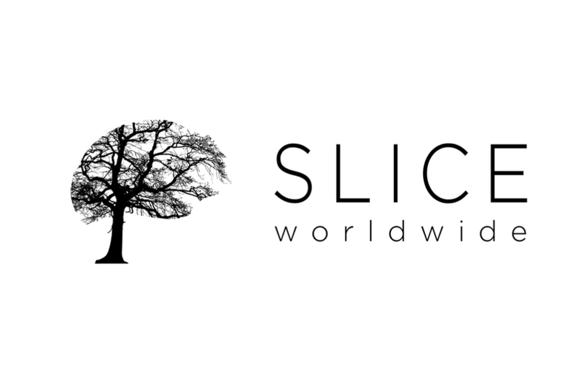AccuMedical Shines at the International SLICE Next Frontiers Stroke Conference